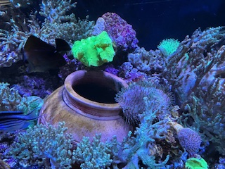 IMG_5701.jpg